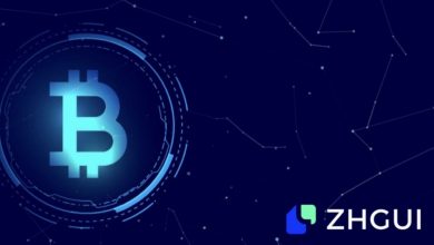 globalisation-and-localisation:-the-strategic-ecosystem-partnerships-of-zhgui-exchange
