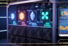 crypto-prices-drop,-but-daily-profits-rise:-sunny-mining-launches-reward-backed-cloud-mining-plans