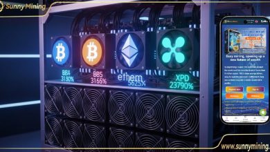 crypto-prices-drop,-but-daily-profits-rise:-sunny-mining-launches-reward-backed-cloud-mining-plans